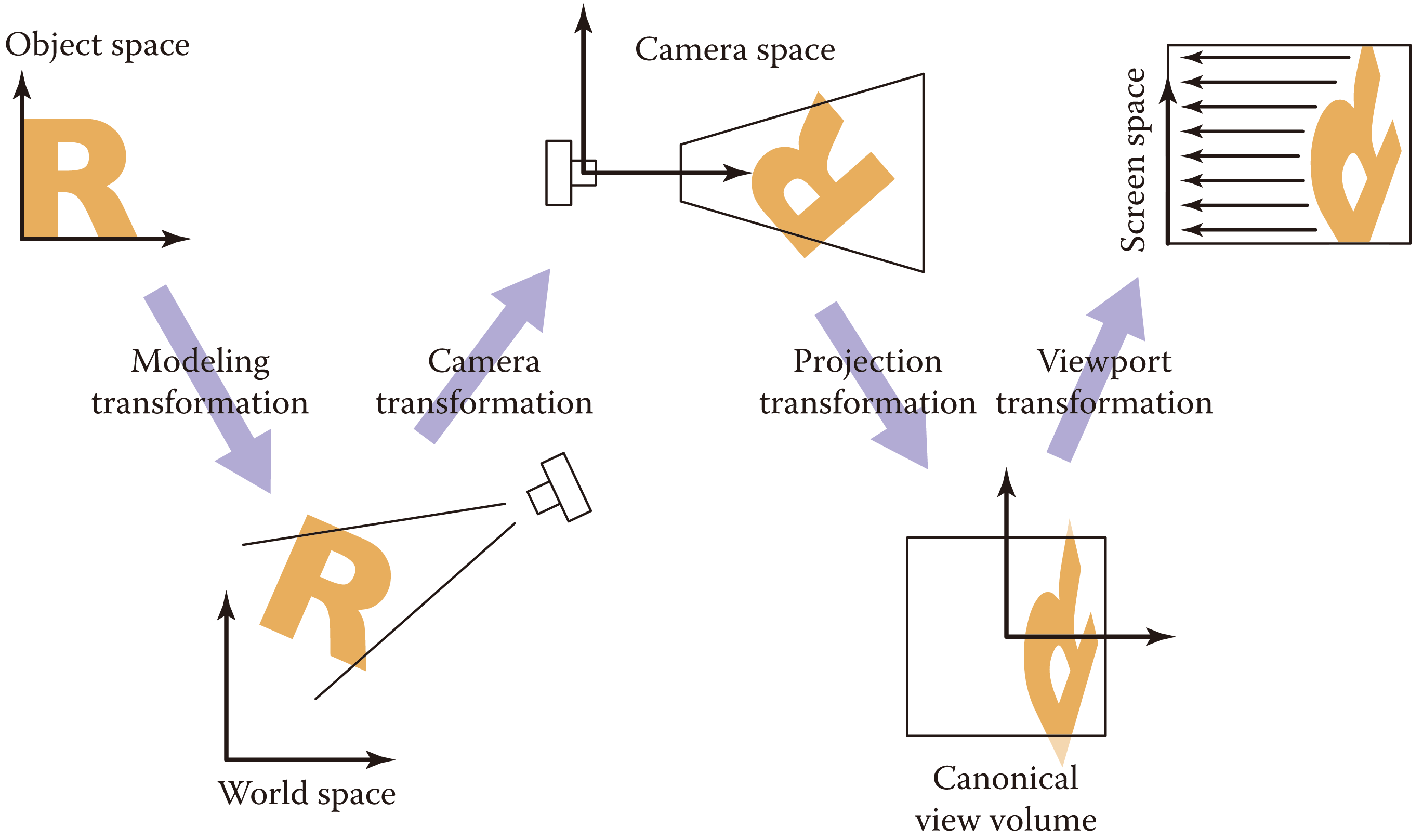 Viewing transformation